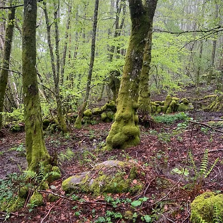 Casa Sapita Villafranca Del Bierzo