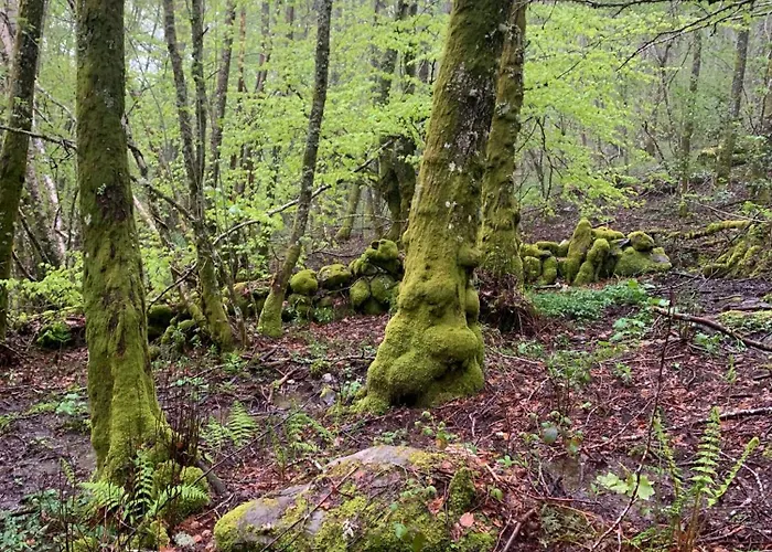 Casa Sapita Villafranca Del Bierzo